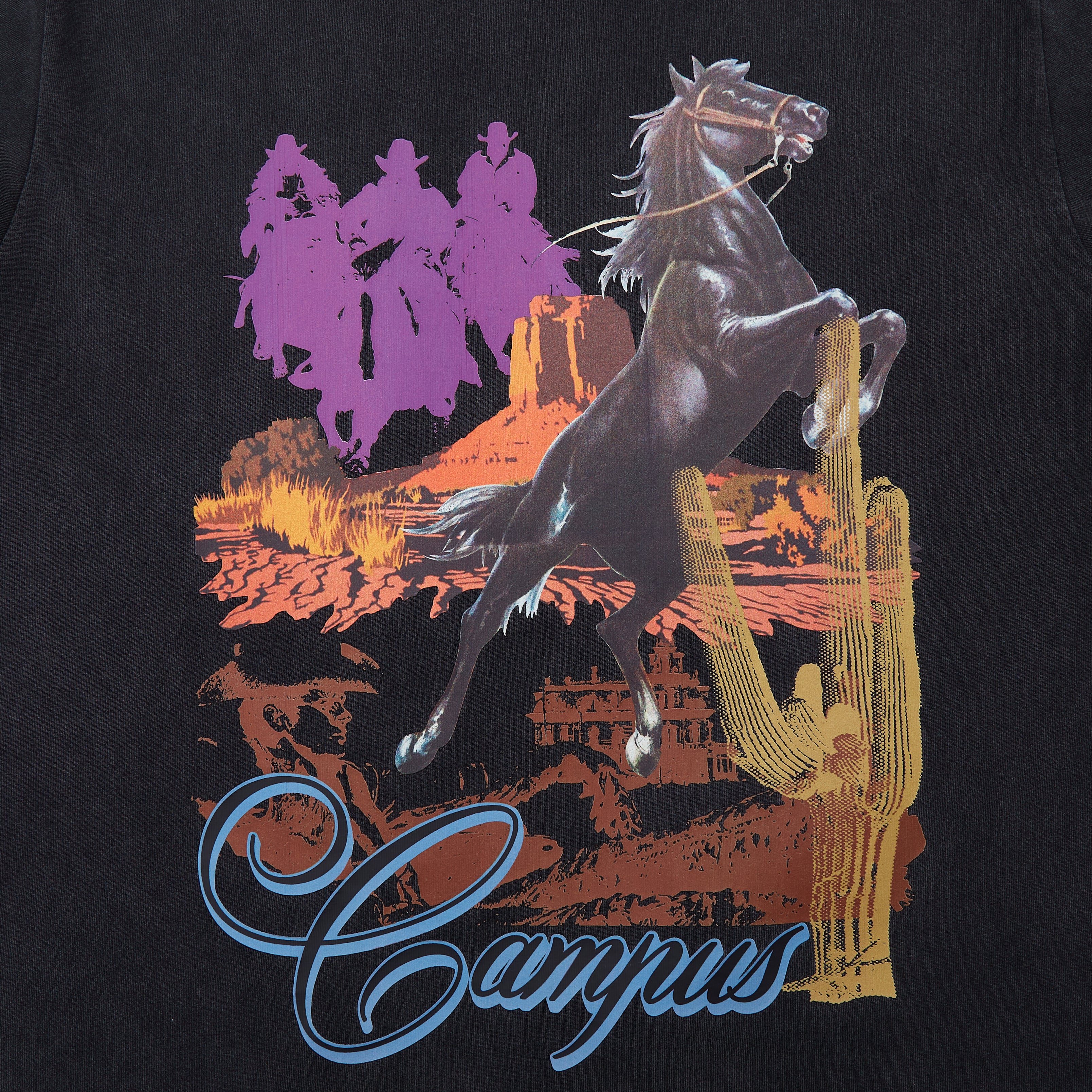 Eastwood Crop Tee (Vintage Black)